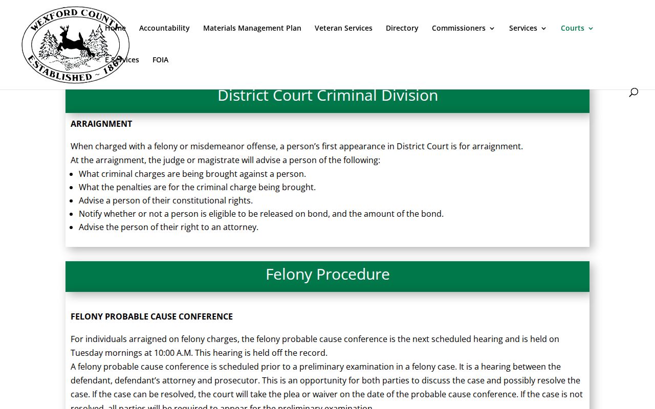 Wexford County criminal docket 84th District Court criminal process